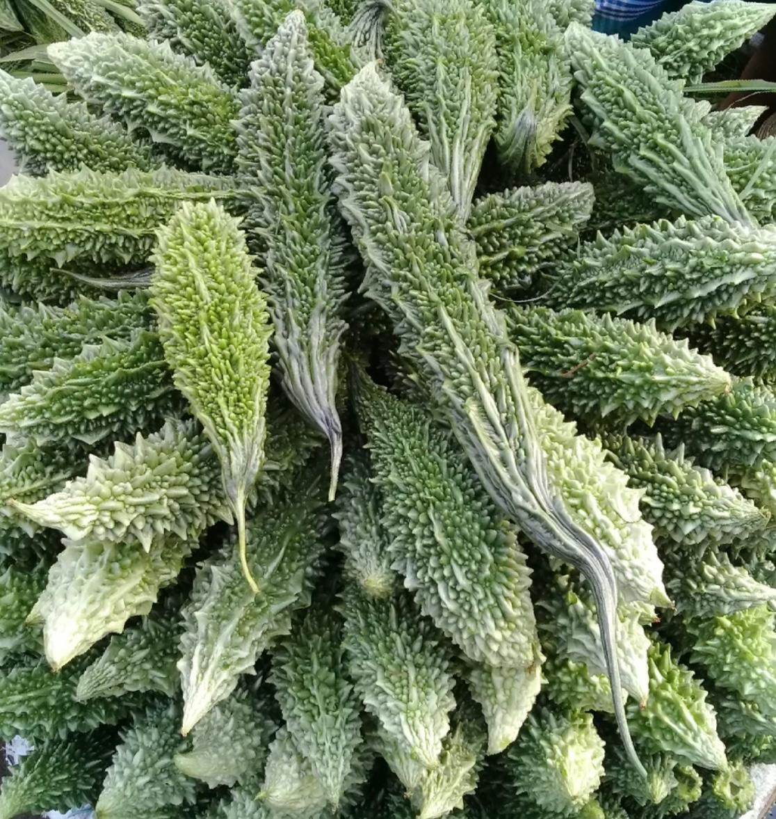Bitter Gourd