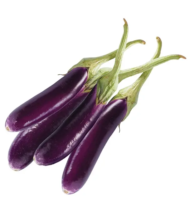 Brinjal