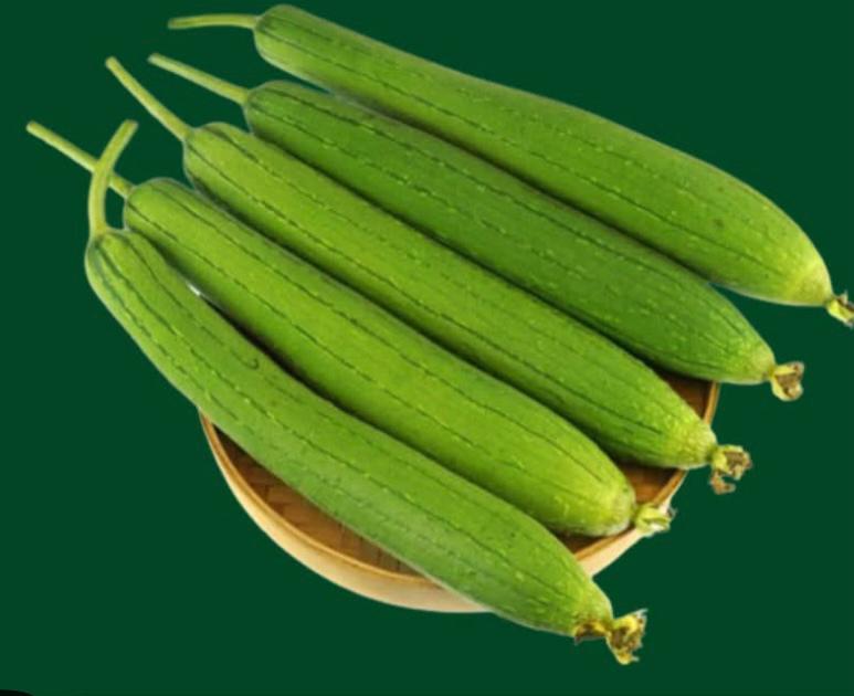 Ribbed Gourd