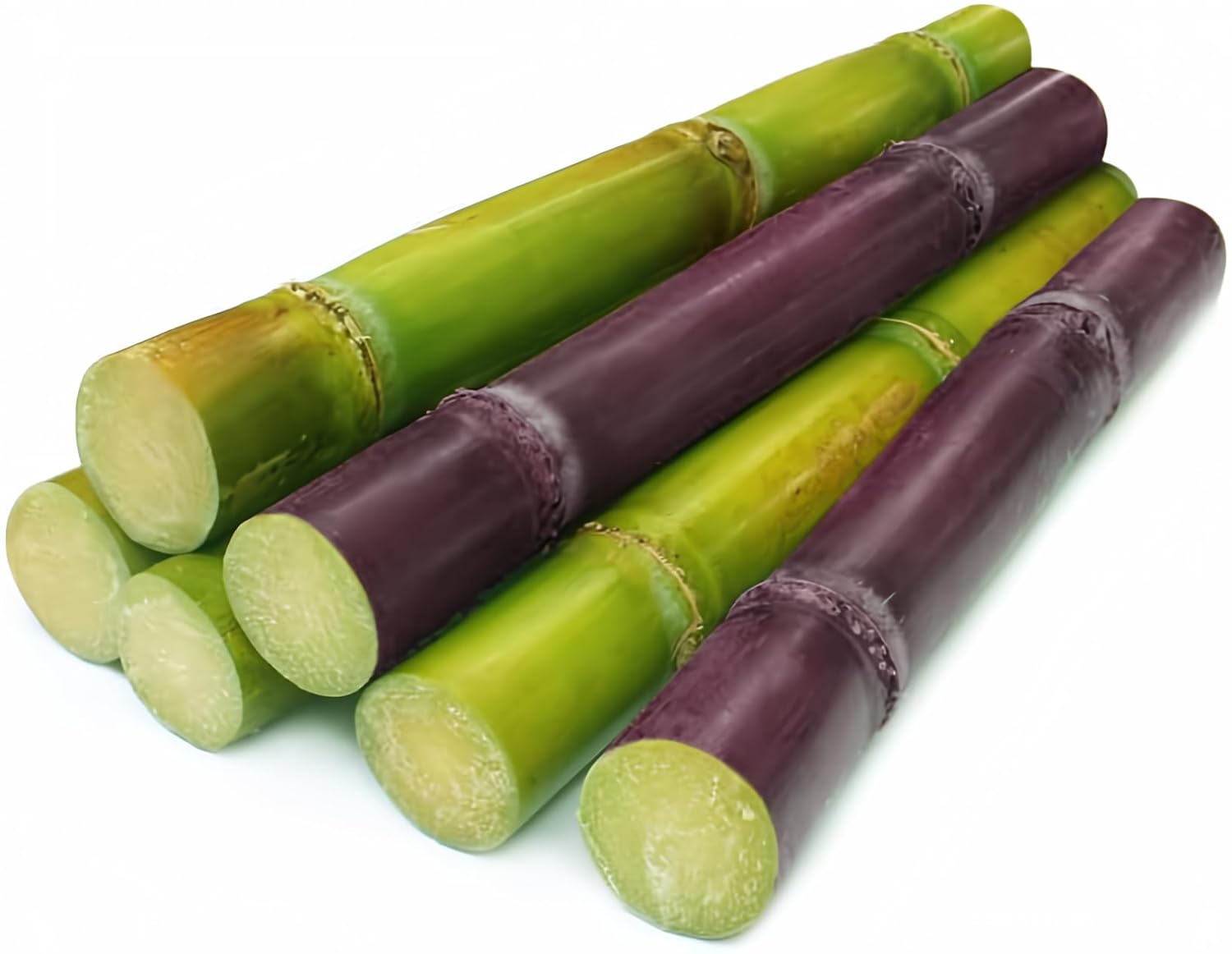 Sugar Cane