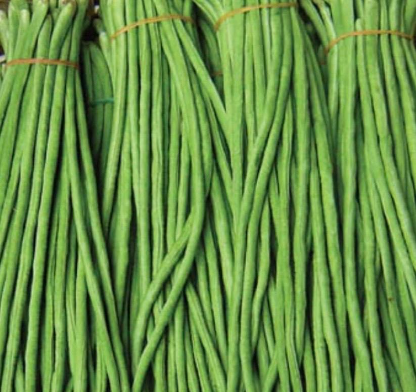 Yard Long Bean