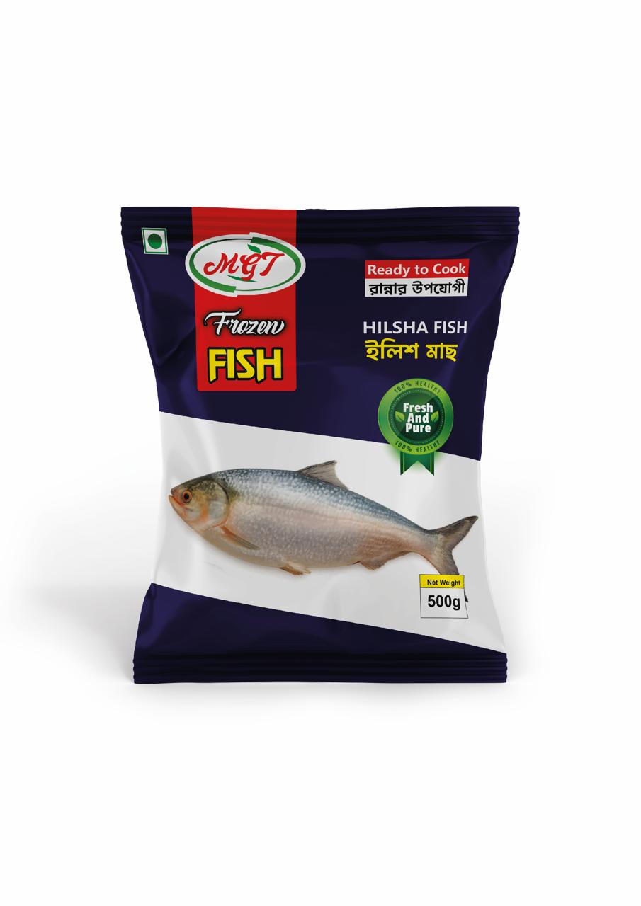 Hilsa Fish